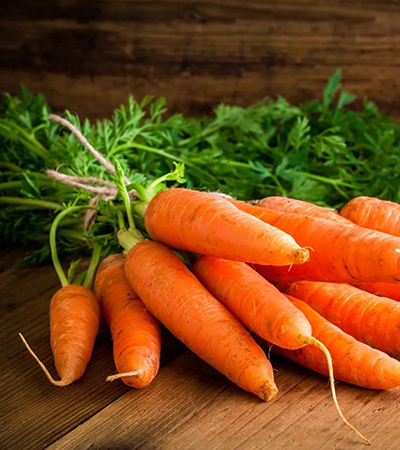Carrot