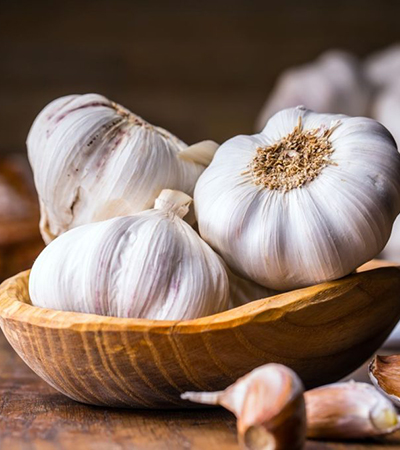 Garlic