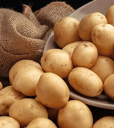 Potato